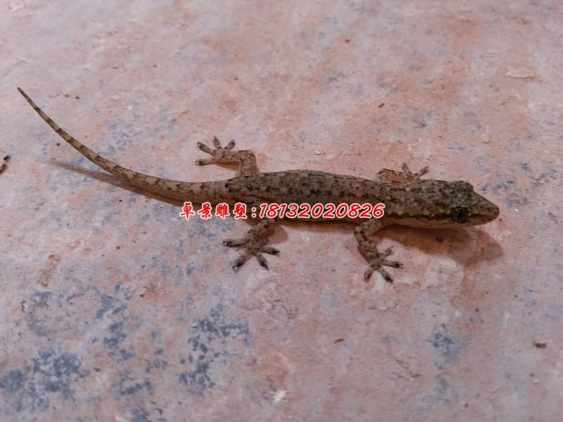 玻璃鋼壁虎雕塑，玻璃仿真動物雕塑