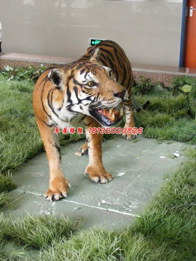玻璃鋼老虎雕塑，仿真老虎雕塑 (2)