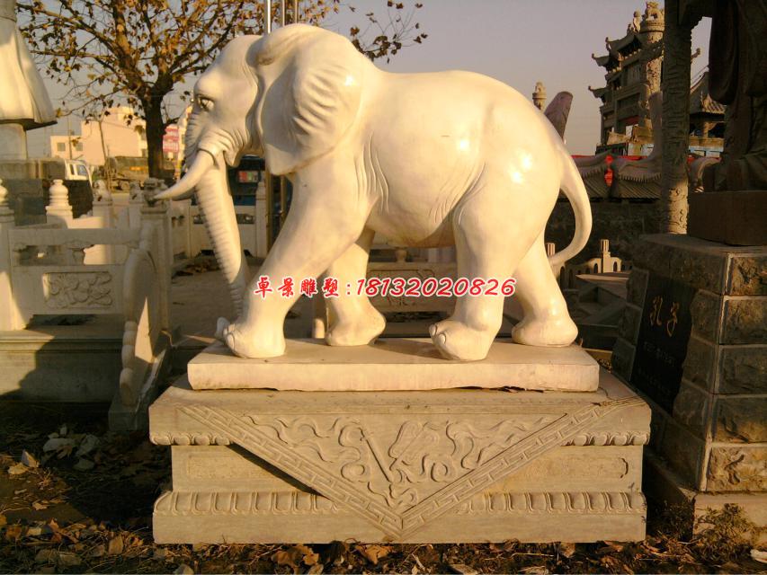 大象石雕，漢白玉動(dòng)物石雕 (2)