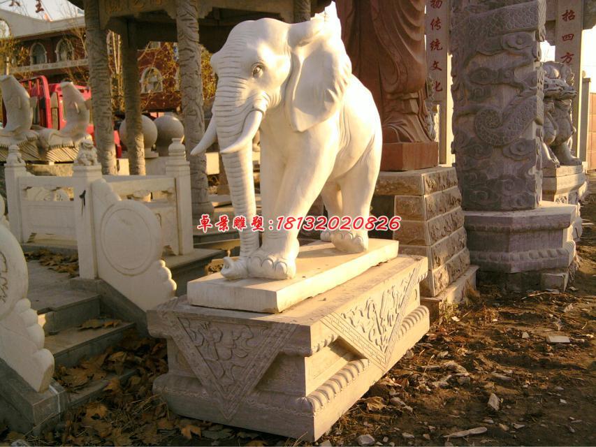 大象石雕，漢白玉動(dòng)物石雕 (1)