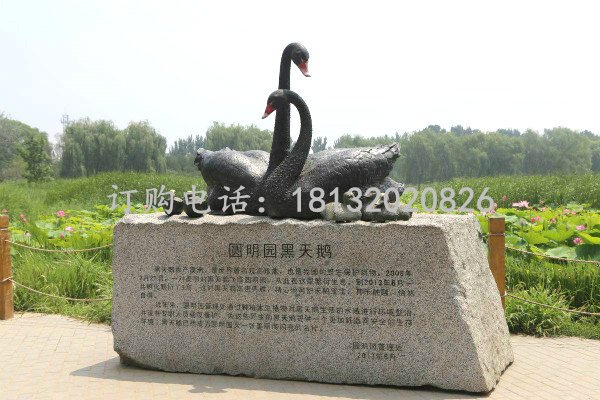 黑天鵝雕塑 玻璃鋼仿真動物.jpg 黑天鵝雕塑 玻璃鋼仿真動物.jpg