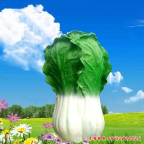玻璃鋼仿真白菜雕塑